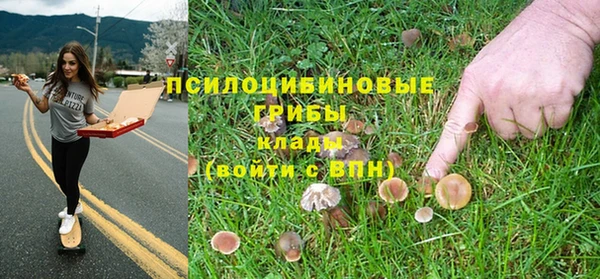 мяу мяу мука Арсеньев