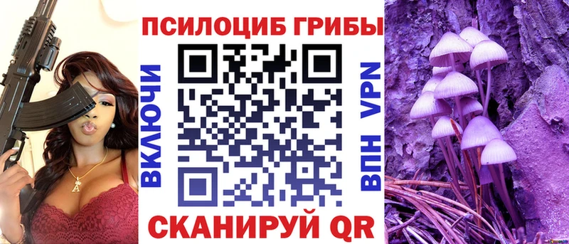 хочу   Боровск  Псилоцибиновые грибы мицелий 